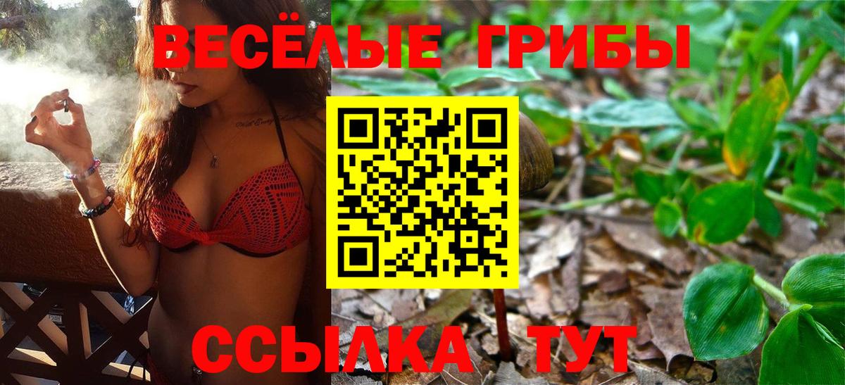 Псилоцибиновые грибы Cubensis Саров
